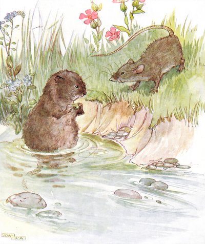Called on Squire Water Rat, Old Friend of the Family, Illustration from 